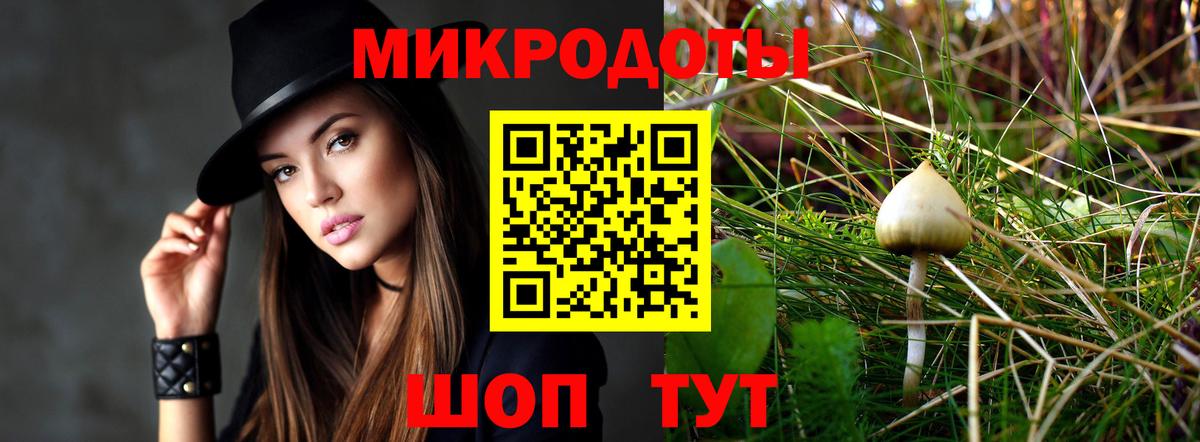 Псилоцибиновые грибы Psilocybine cubensis Протвино